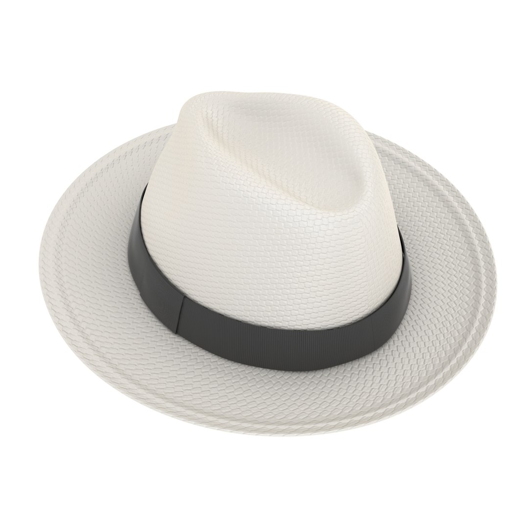 3d model panama hat