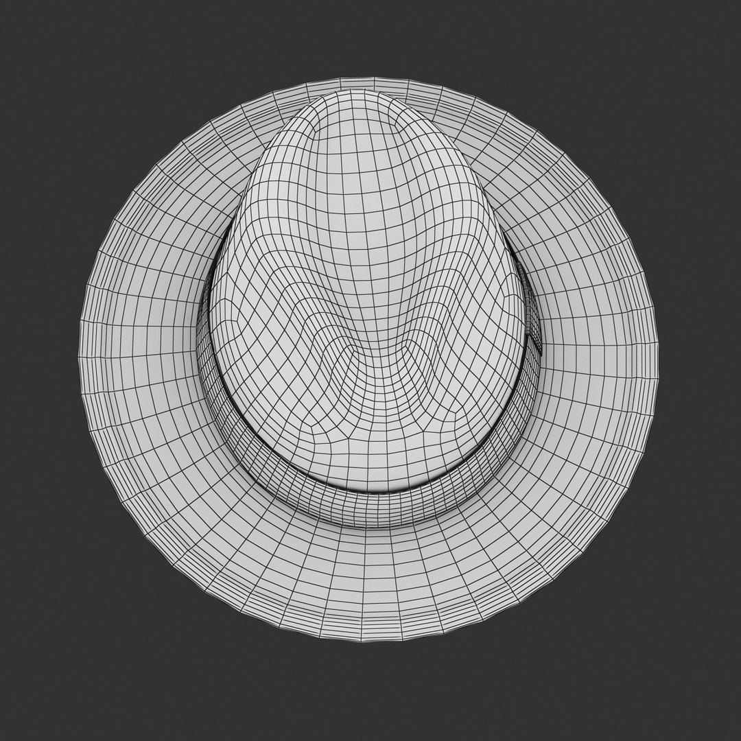 3d model panama hat