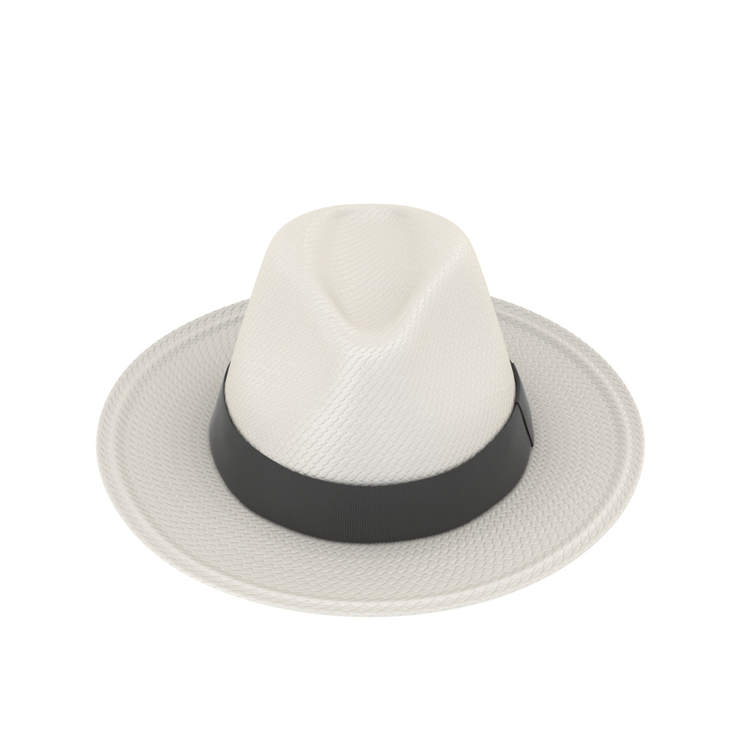 3d model panama hat