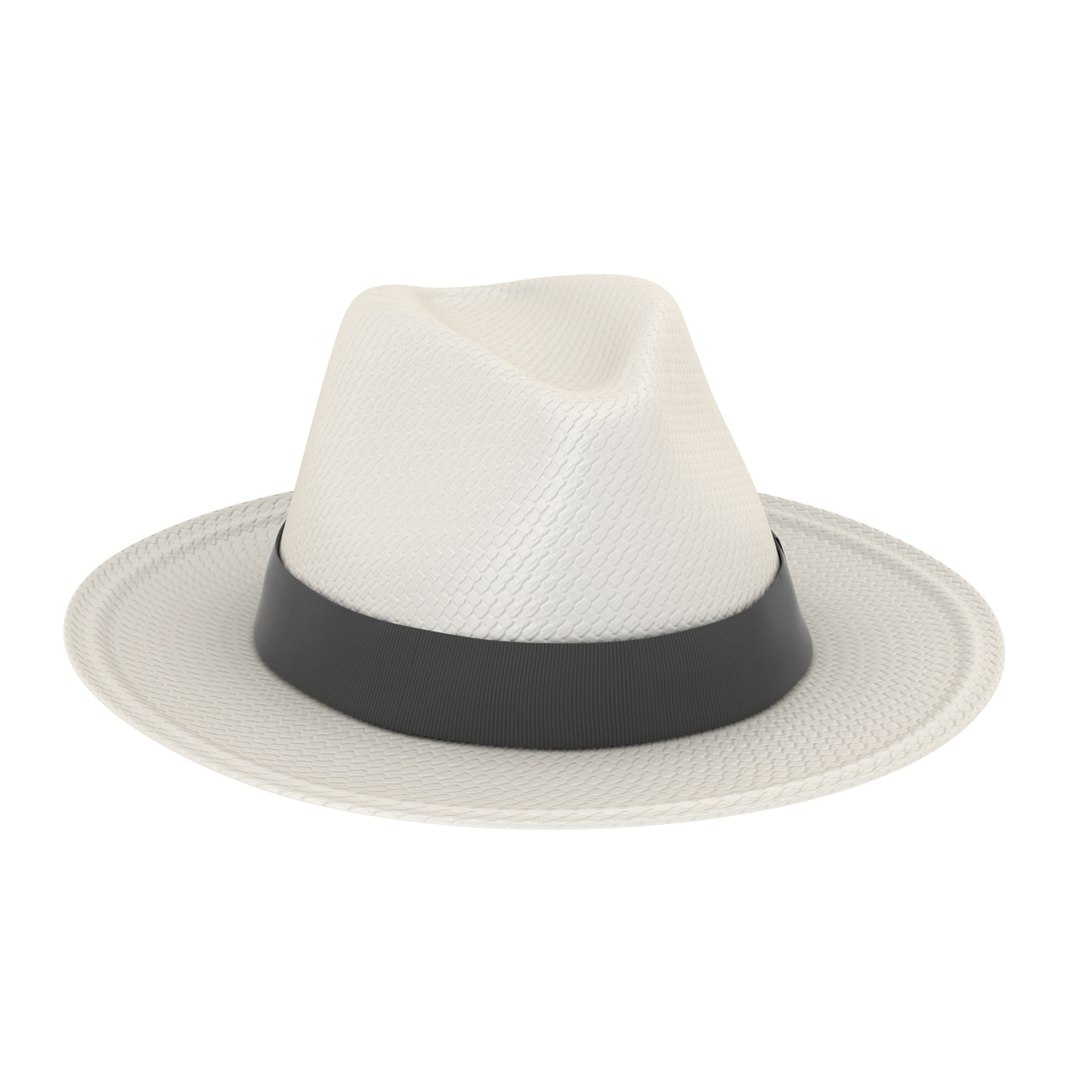 3d model panama hat