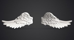 Angel Wings