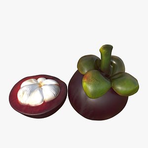 3D Mangosteen Low-poly model