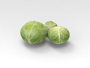 3D Cabbage