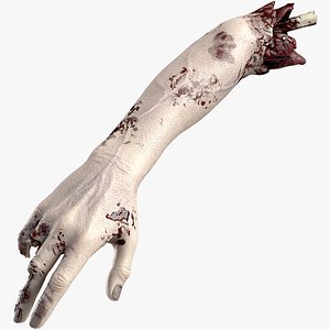 Severed Hand 4 3D model