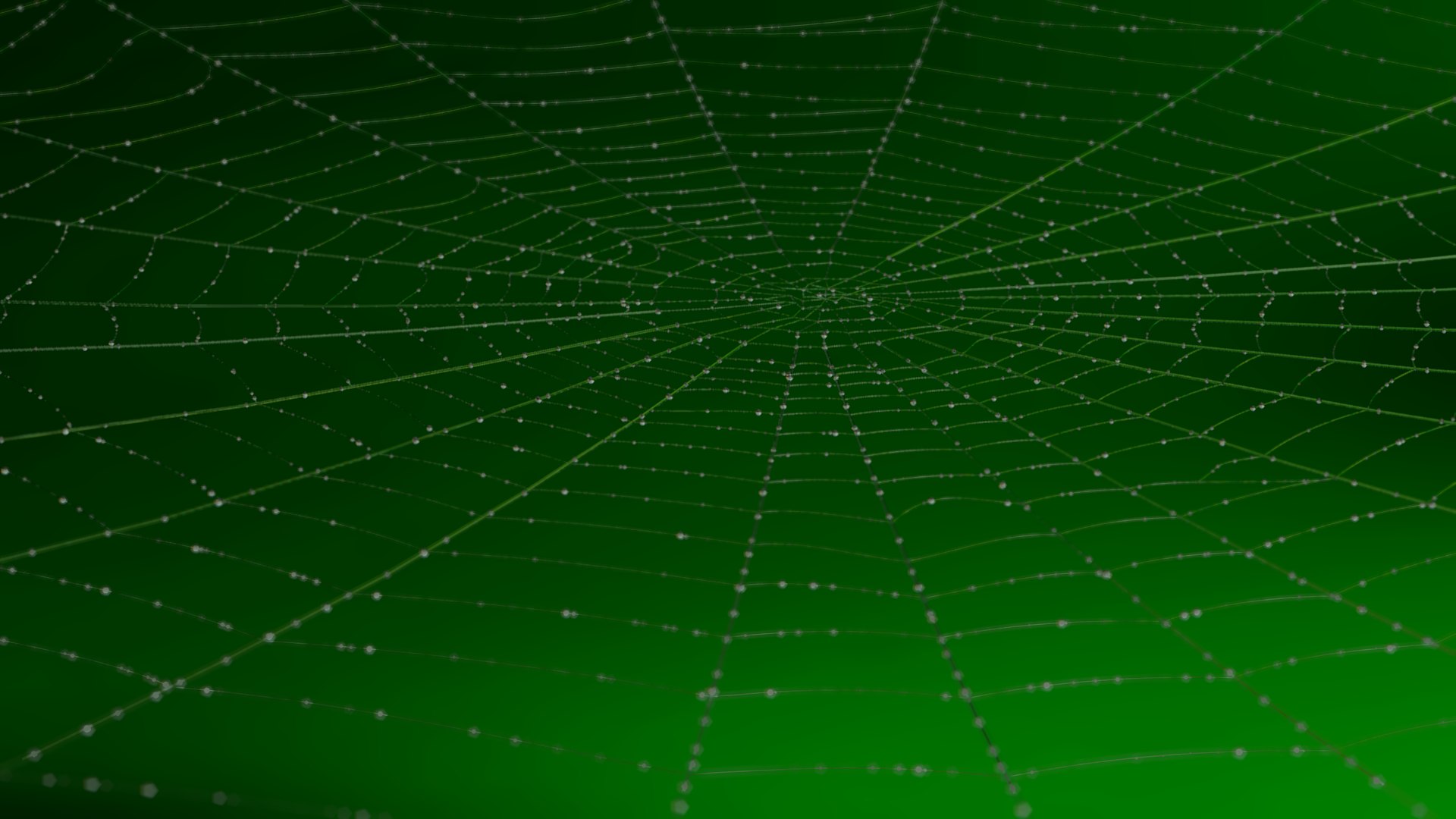 Spiders Web 3d Blend