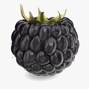 Fresh Blackberry
