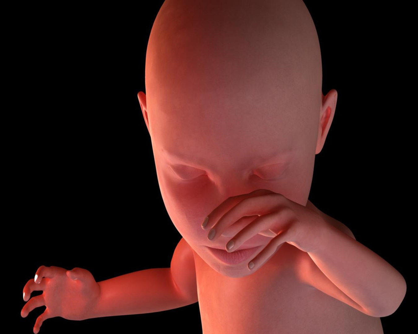 14 rigged pregnant 3d model https://p.turbosquid.com/ts-thumb/sQ/BIieaM/JKpdkrXs/babyveryclose/jpg/1283363261/1920x1080/fit_q87/a27232e8640beaf968883b3eaa1a6da1839a2598/babyveryclose.jpg