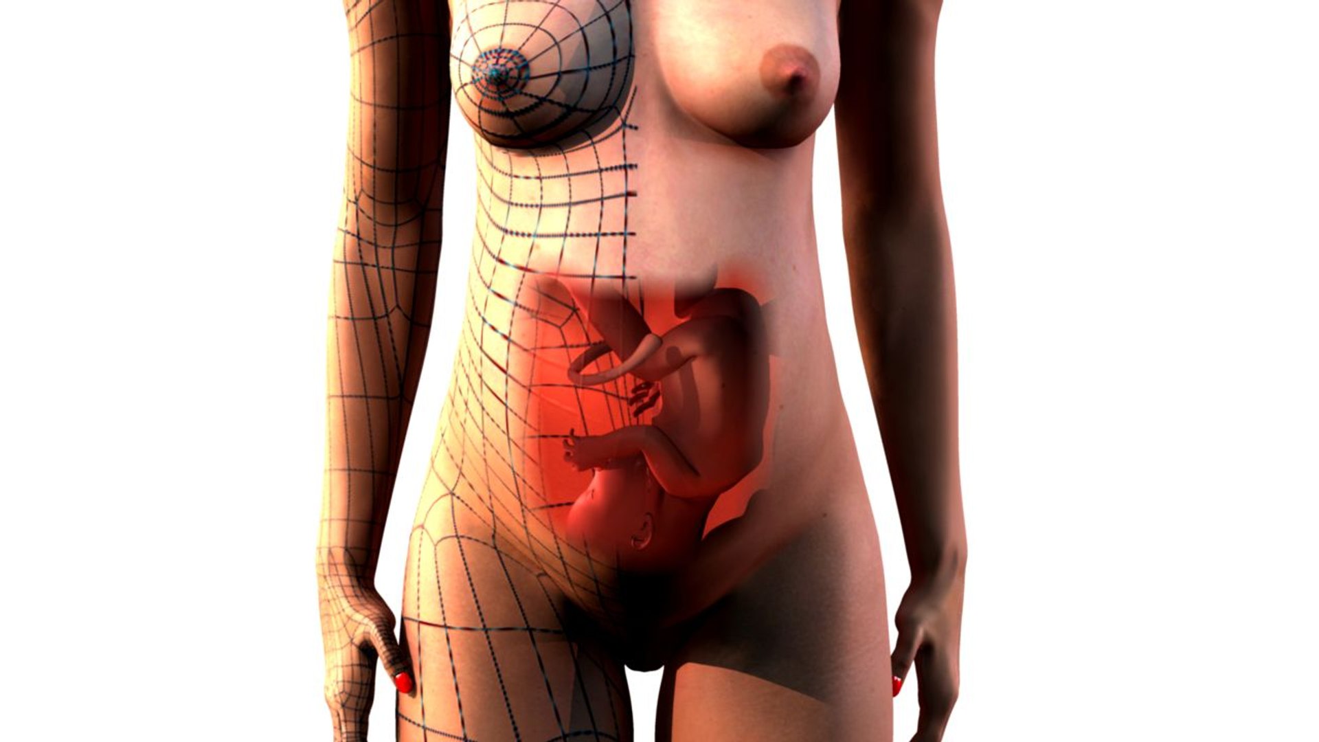 14 rigged pregnant 3d model https://p.turbosquid.com/ts-thumb/sQ/BIieaM/v7c7WsLW/pregbodywired/jpg/1283363261/1920x1080/fit_q87/681dd9e36de94544400c7f1cf23c5b0a1303e797/pregbodywired.jpg