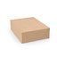 Paquete de caja (1)