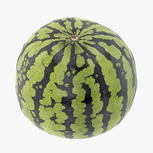 Watermelon Low Poly PBR 3D model