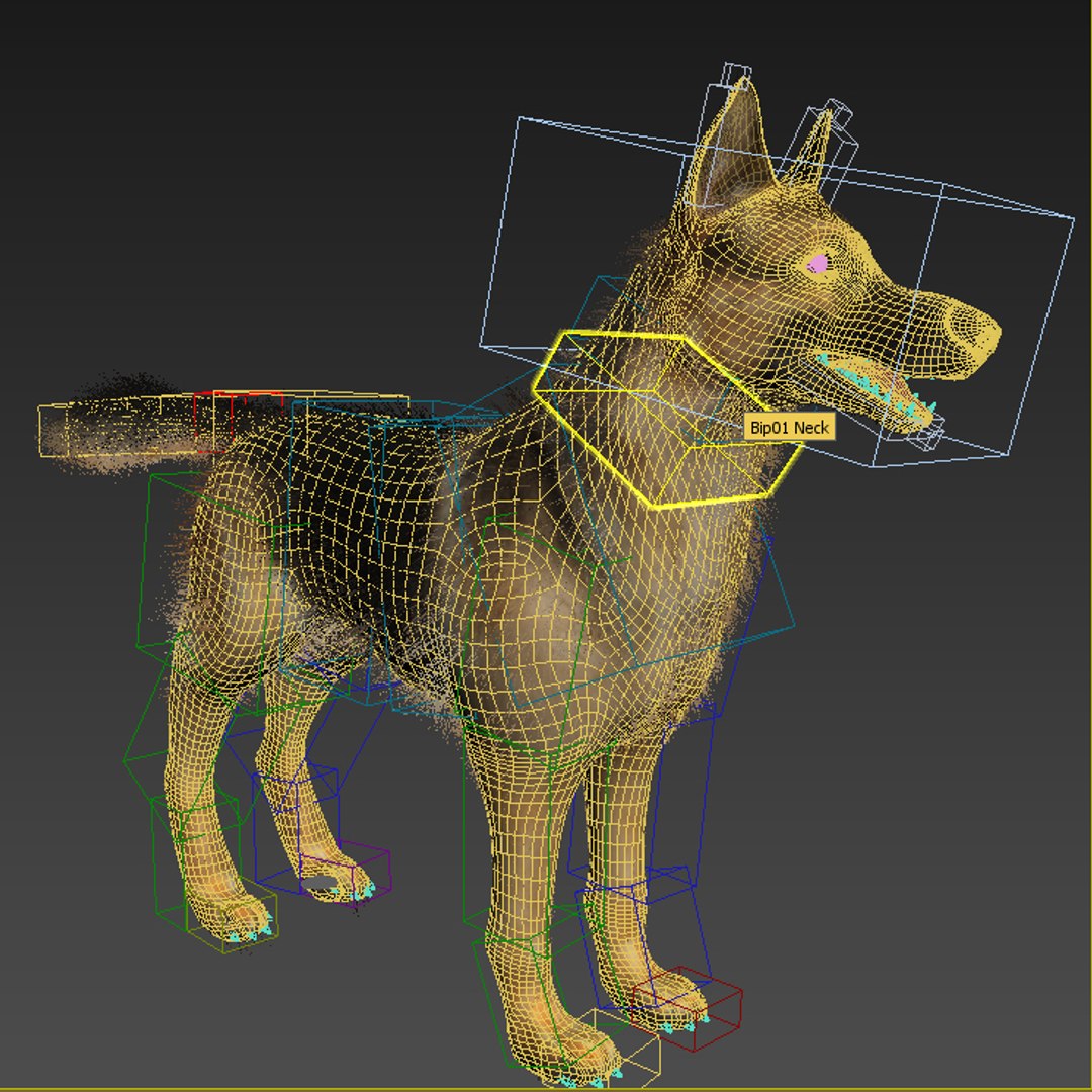Max German Shepherd
