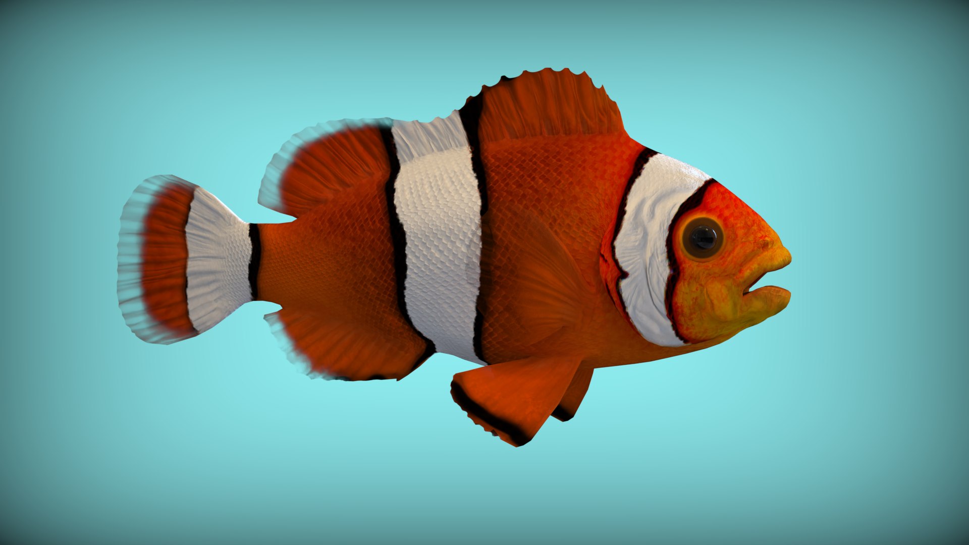 Clownfish 3D Model - TurboSquid 2314009