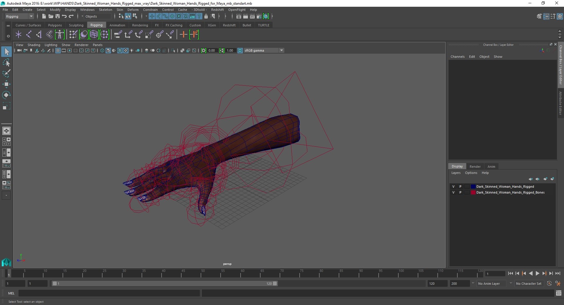 3D Dark Skinned Woman Hands Rigged For Maya Model - TurboSquid 2181452