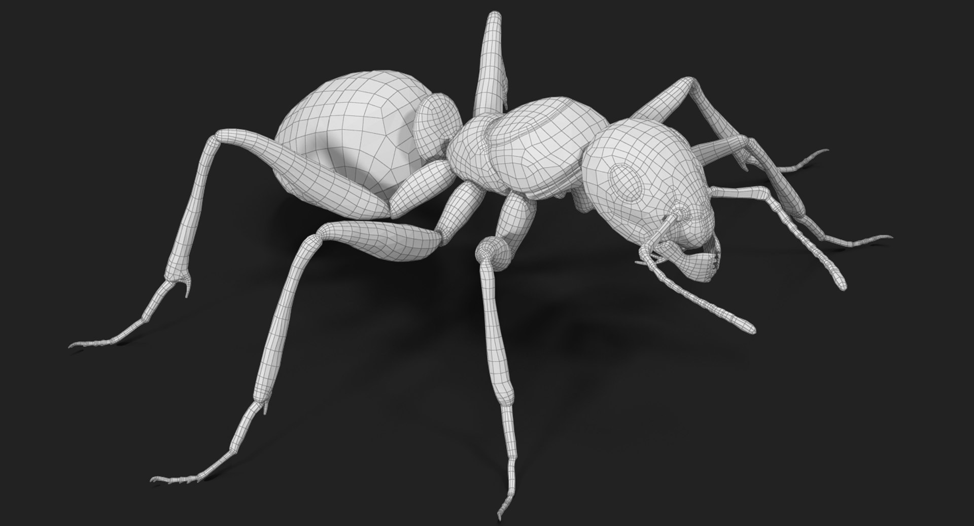 3d model of ant rigged https://p.turbosquid.com/ts-thumb/sQ/UWd326/GbtRR5XP/subdivision_level_002/jpg/1487796251/1920x1080/fit_q87/c82d217c60c6c6462a12a258c16c0e7ee58d9dae/subdivision_level_002.jpg