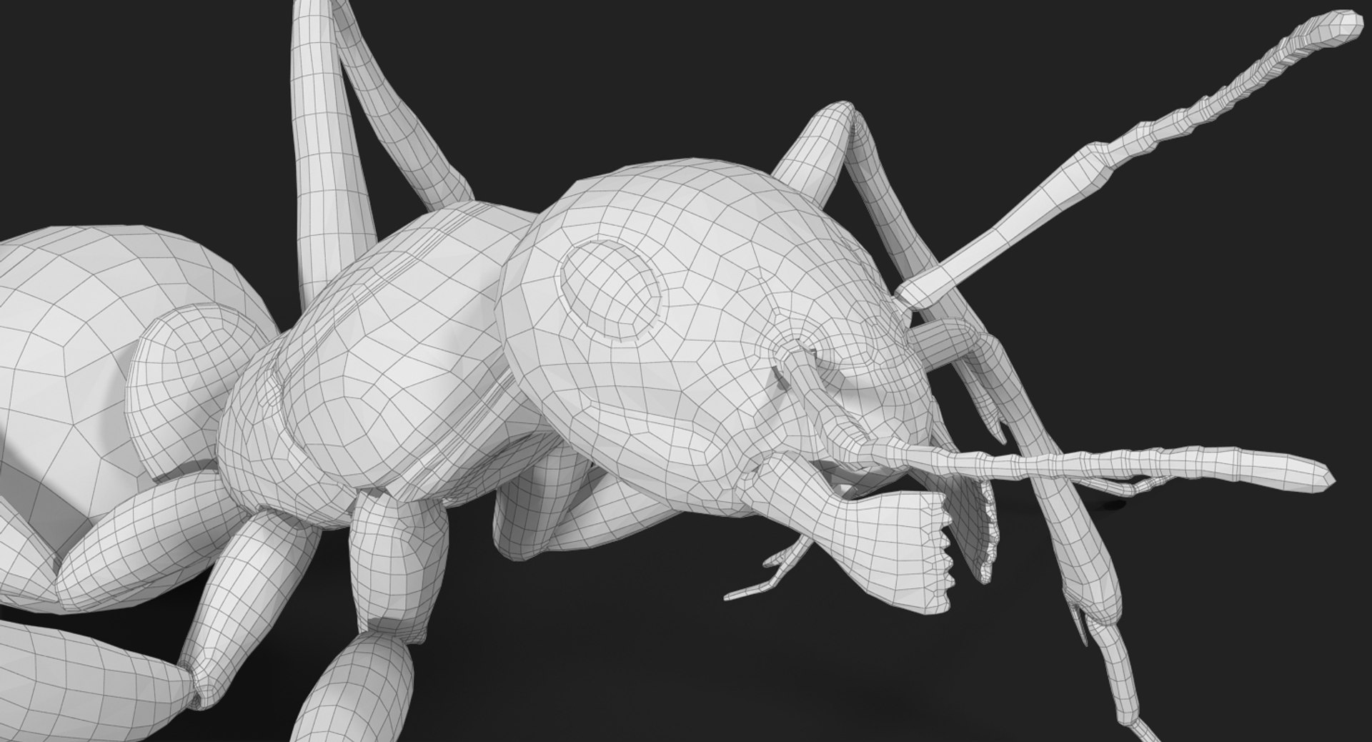 3d model of ant rigged https://p.turbosquid.com/ts-thumb/sQ/UWd326/lNvGVFSi/subdivision_level_010/jpg/1487796251/1920x1080/fit_q87/2efb5951ccfe031552e8f19778651fb70fd887ad/subdivision_level_010.jpg