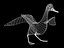 BIRD.3DS