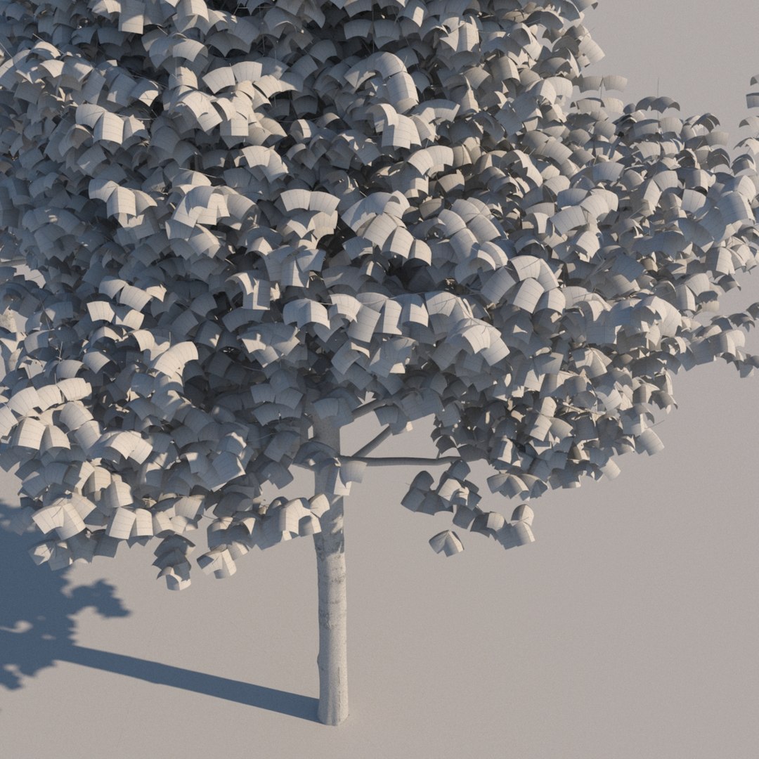 architectural trees 3d model https://p.turbosquid.com/ts-thumb/sQ/Z3rsb8/NhMqkAYn/wire_archtrees5/jpg/1460146419/1920x1080/fit_q87/a49bea5229abdbc4cb2659138c993f1e986dfb58/wire_archtrees5.jpg