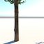 Echter architektonischer Baum
