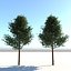 Echter architektonischer Baum