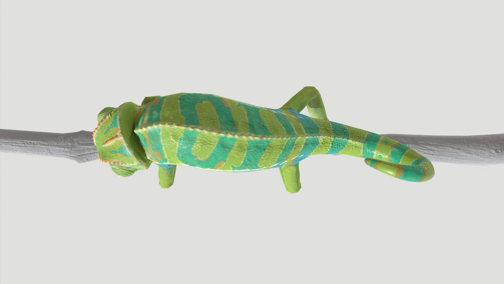Chameleon 3d Model Turbosquid 2170213 Chameleon 3d Model Turbosquid 2170213