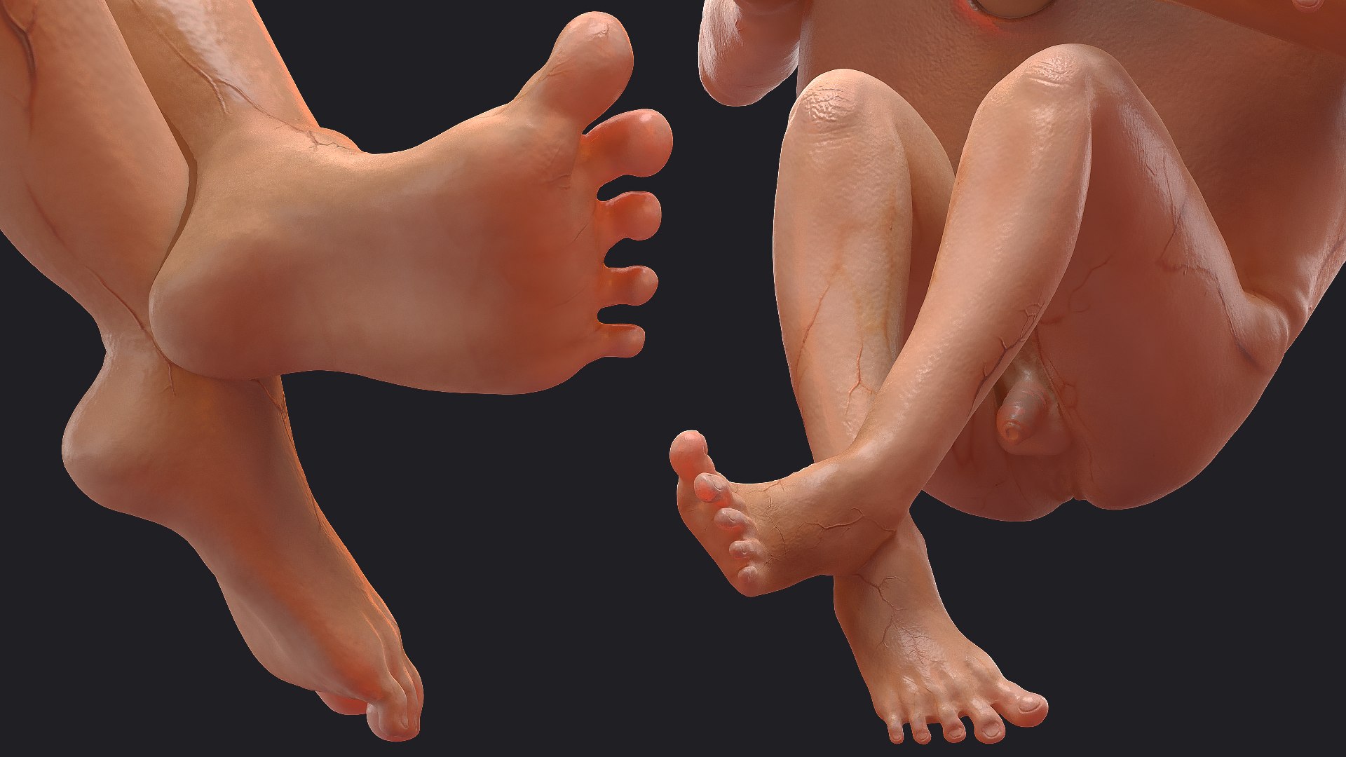 3D Rigged Embryos Full Collection for Cinema 4D model https://p.turbosquid.com/ts-thumb/sQ/cSFYvt/3M/riggedembryosfullcollection3dmodel058/jpg/1615984786/1920x1080/fit_q87/4fe4b07f1c85fbcb46a30dc3293d782d0a4a1d54/riggedembryosfullcollection3dmodel058.jpg