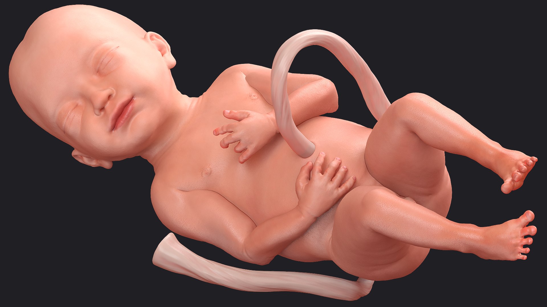 3D Rigged Embryos Full Collection for Cinema 4D model https://p.turbosquid.com/ts-thumb/sQ/cSFYvt/7E/riggedembryosfullcollection3dmodel033/jpg/1615984679/1920x1080/fit_q87/81df7c6e65239ccee9db4e59f99f4de16bac7ca4/riggedembryosfullcollection3dmodel033.jpg