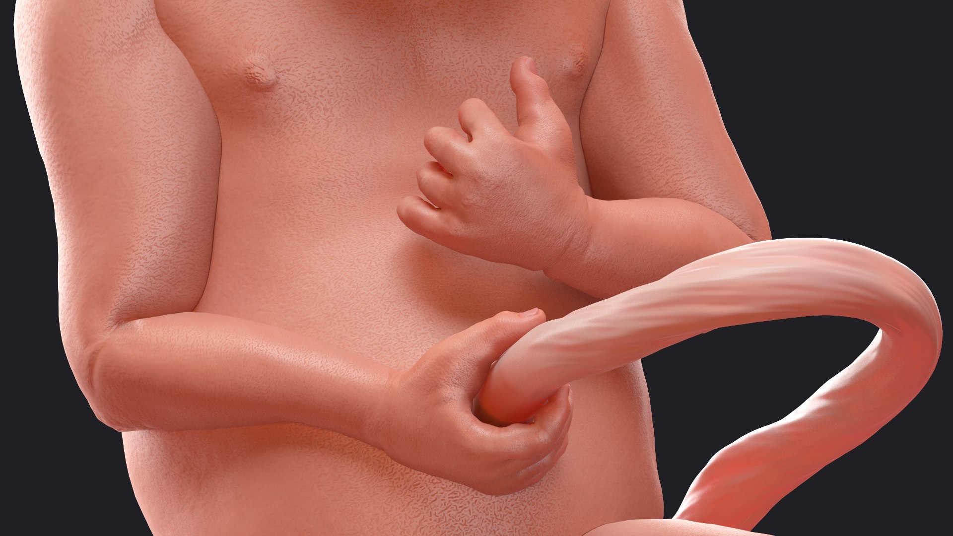 3D Rigged Embryos Full Collection for Cinema 4D model https://p.turbosquid.com/ts-thumb/sQ/cSFYvt/7Z/riggedembryosfullcollection3dmodel040/jpg/1615984713/1920x1080/fit_q87/d331df4ef12577f0d60ab48f71d0c7fe666ab0e6/riggedembryosfullcollection3dmodel040.jpg