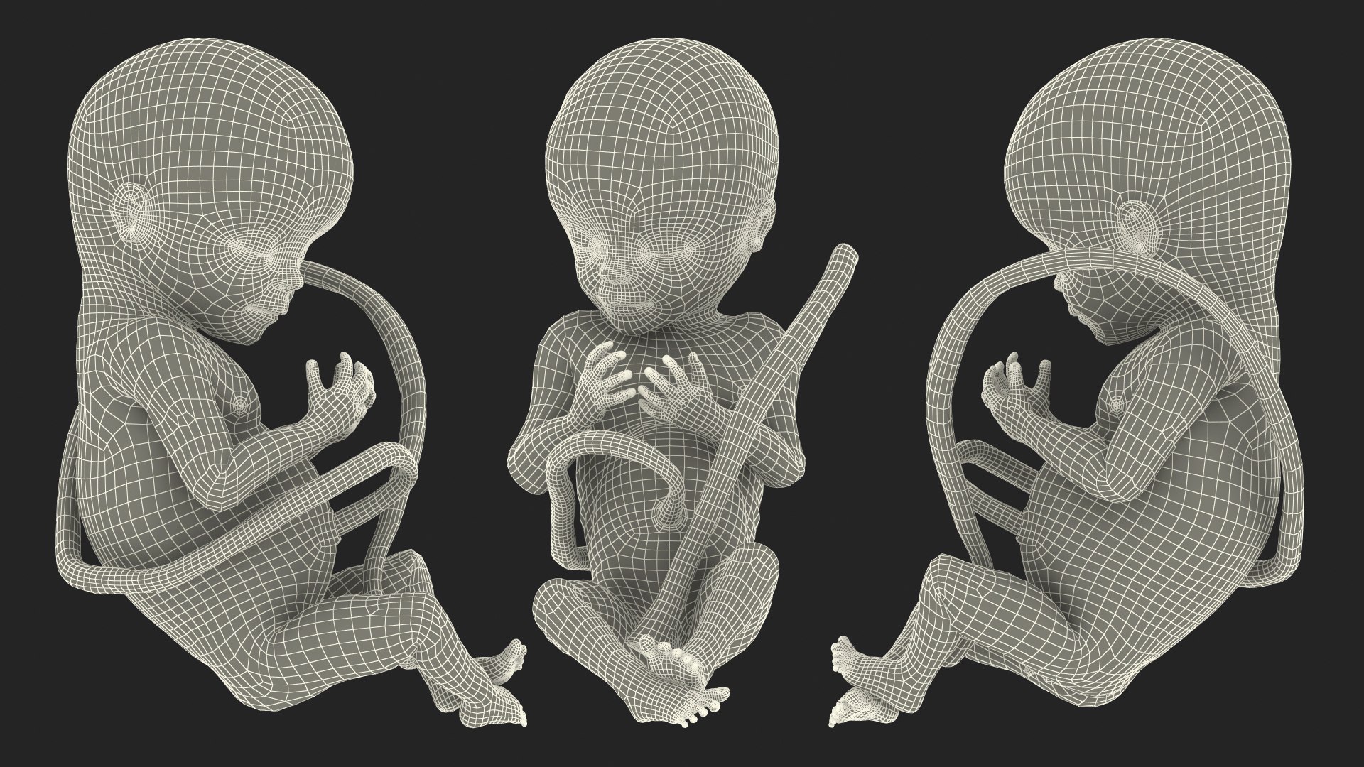 3D Rigged Embryos Full Collection for Cinema 4D model https://p.turbosquid.com/ts-thumb/sQ/cSFYvt/Bv/riggedembryosfullcollection3dmodel112/jpg/1615985235/1920x1080/fit_q87/46c19f2ed505a60af1639c44183b974b10a69ab2/riggedembryosfullcollection3dmodel112.jpg