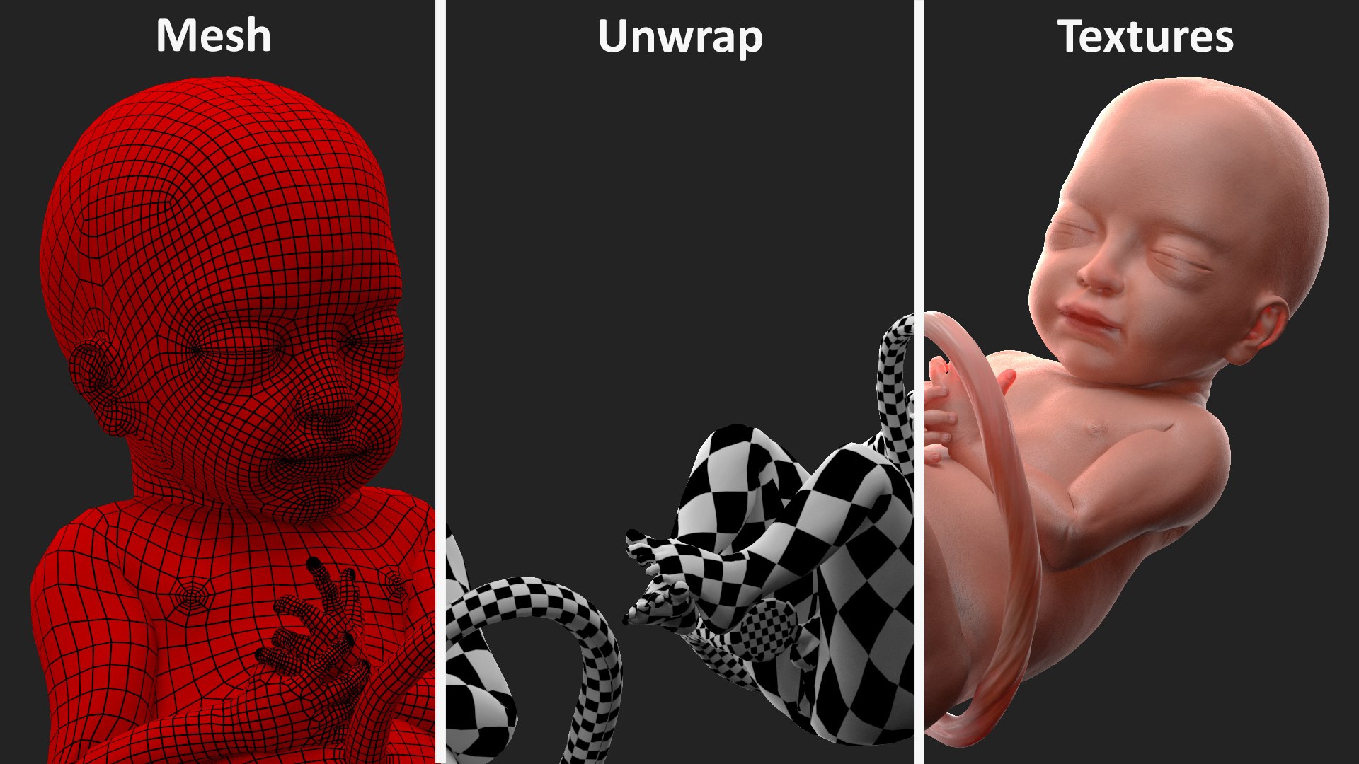 3D Rigged Embryos Full Collection for Cinema 4D model https://p.turbosquid.com/ts-thumb/sQ/cSFYvt/GX/riggedembryosfullcollection3dmodel031/jpg/1615984680/1920x1080/fit_q87/487b44ce1001a3e1066140feea55621dcf96d8ad/riggedembryosfullcollection3dmodel031.jpg