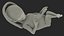 Colección completa de embriones aparejados para Cinema 4D