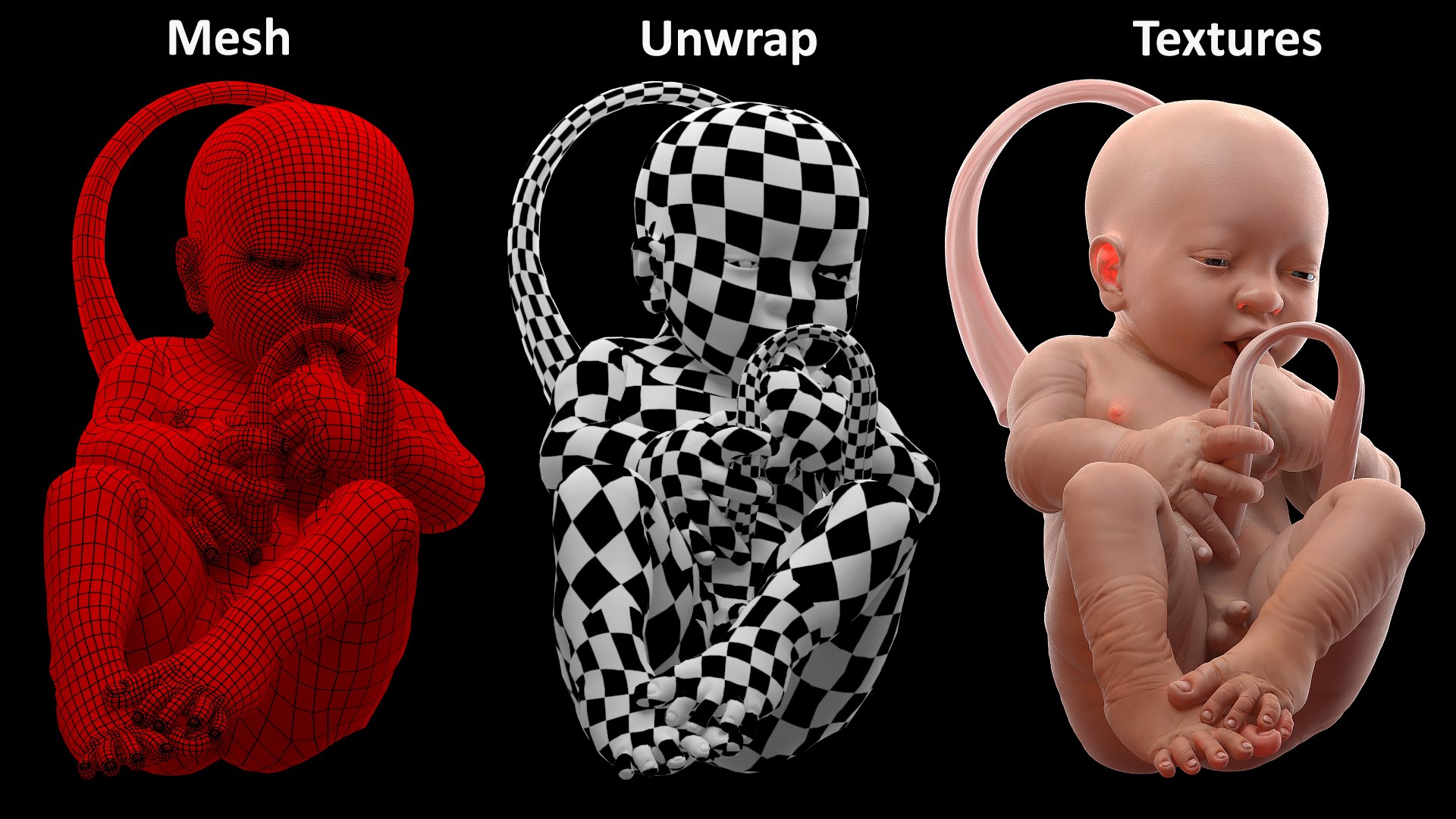 3D Rigged Embryos Full Collection for Cinema 4D model https://p.turbosquid.com/ts-thumb/sQ/cSFYvt/Kf/riggedembryosfullcollection3dmodel018/jpg/1615984623/1920x1080/fit_q87/123e4c63be426ad854d513360589980b8fbeb1b0/riggedembryosfullcollection3dmodel018.jpg