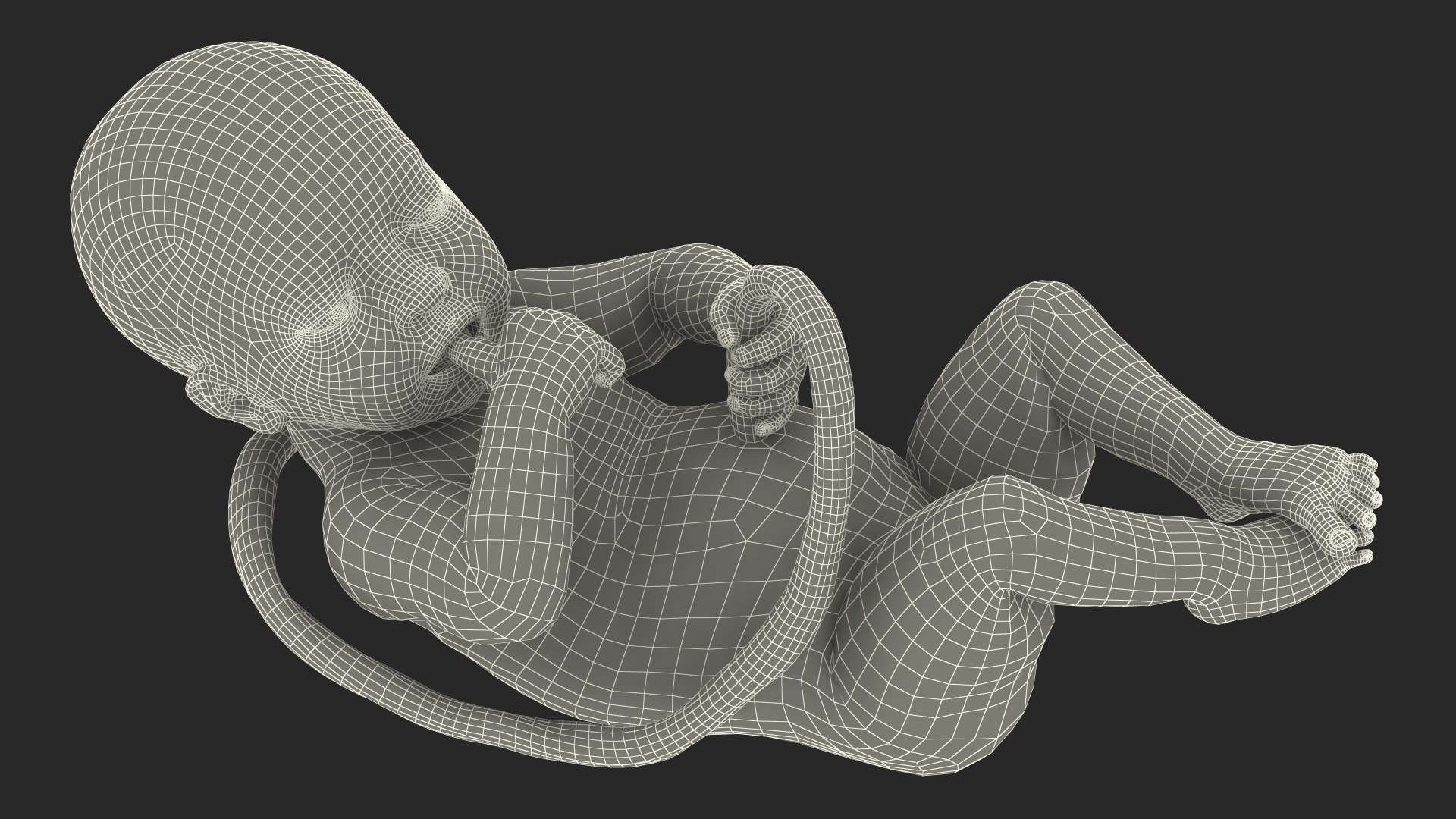 3D Rigged Embryos Full Collection for Cinema 4D model https://p.turbosquid.com/ts-thumb/sQ/cSFYvt/MW/riggedembryosfullcollection3dmodel108/jpg/1615985231/1920x1080/fit_q87/ddd1a99a34c1e67dd48b1d7038cd52f8588f5d15/riggedembryosfullcollection3dmodel108.jpg
