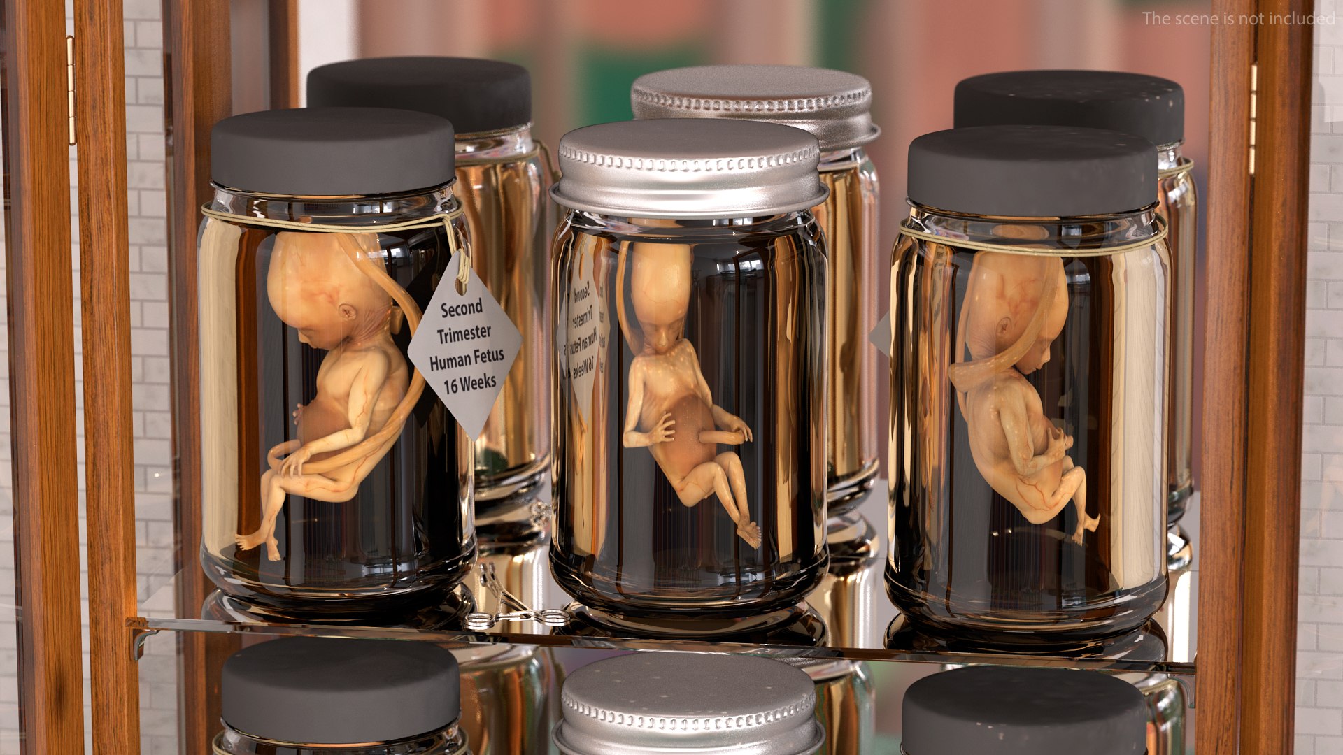 3D Rigged Embryos Full Collection for Cinema 4D model https://p.turbosquid.com/ts-thumb/sQ/cSFYvt/QF/riggedembryosfullcollection3dmodel044/jpg/1615984715/1920x1080/fit_q87/659369bace47d45ac0f95ca9a9203b9ae44c1415/riggedembryosfullcollection3dmodel044.jpg