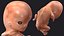 Colección completa de embriones aparejados para Cinema 4D