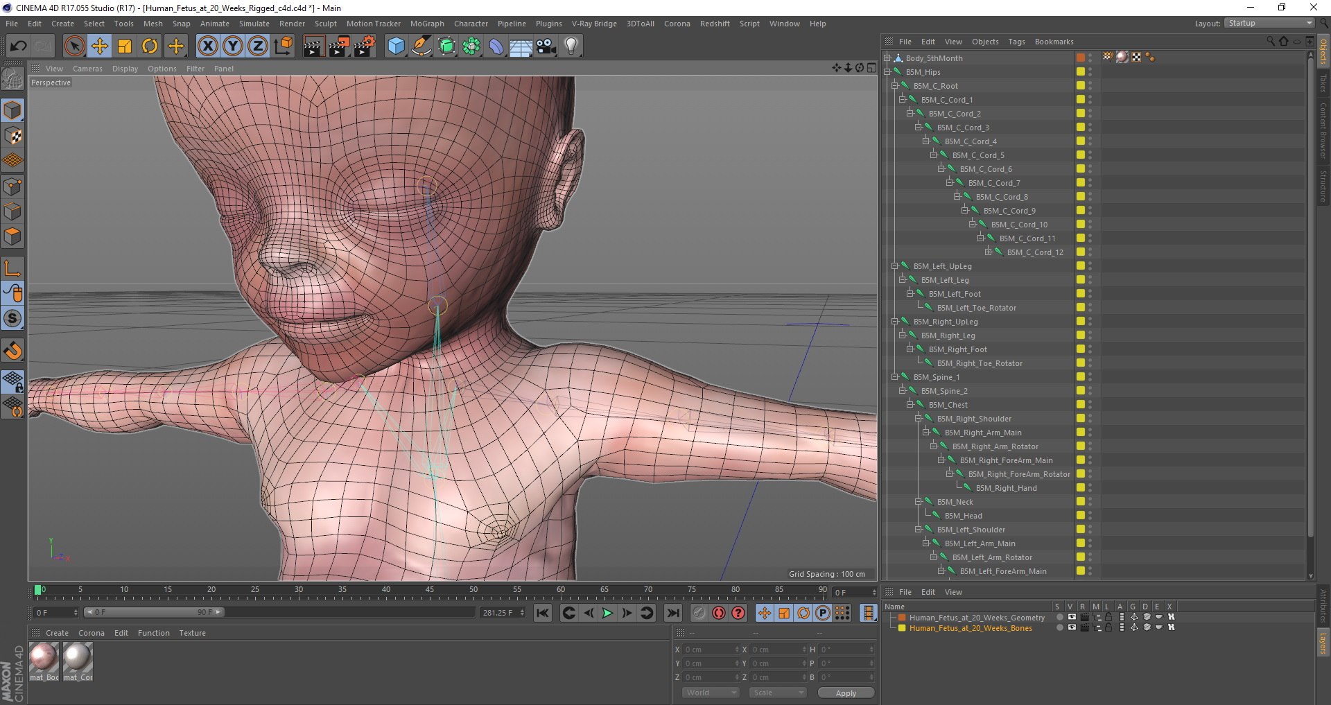 3D Rigged Embryos Full Collection for Cinema 4D model https://p.turbosquid.com/ts-thumb/sQ/cSFYvt/Ri/human_fetus_at_20_weeks_rigged_c4d_03/jpg/1618908899/1920x1080/fit_q87/2bc801cb8ef2708e3efb1b8ec8cce60b92e17141/human_fetus_at_20_weeks_rigged_c4d_03.jpg