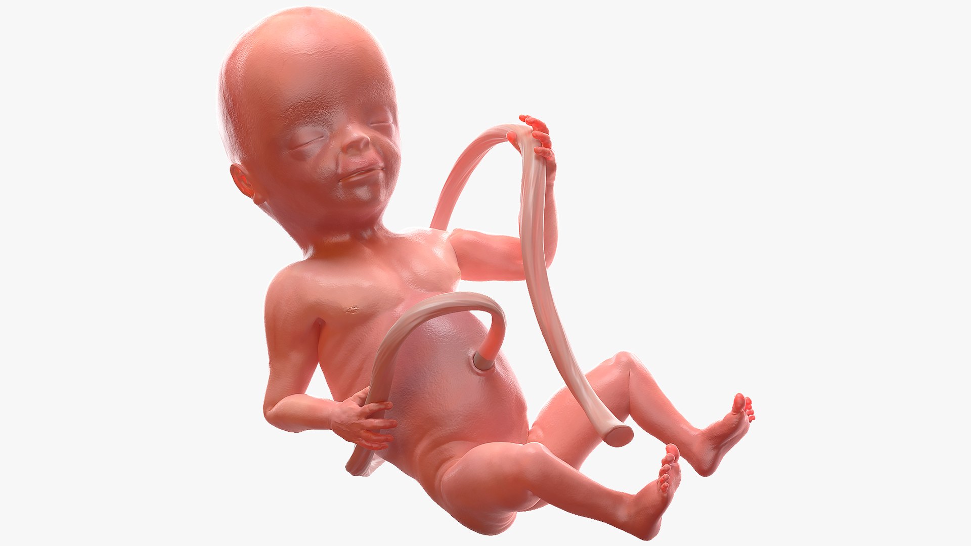 3D Rigged Embryos Full Collection for Cinema 4D model https://p.turbosquid.com/ts-thumb/sQ/cSFYvt/Te/riggedembryosfullcollection3dmodel059/jpg/1615984791/1920x1080/fit_q87/e5fd3b3a69ec6a5a02a193ddb9c25f6737cb731e/riggedembryosfullcollection3dmodel059.jpg
