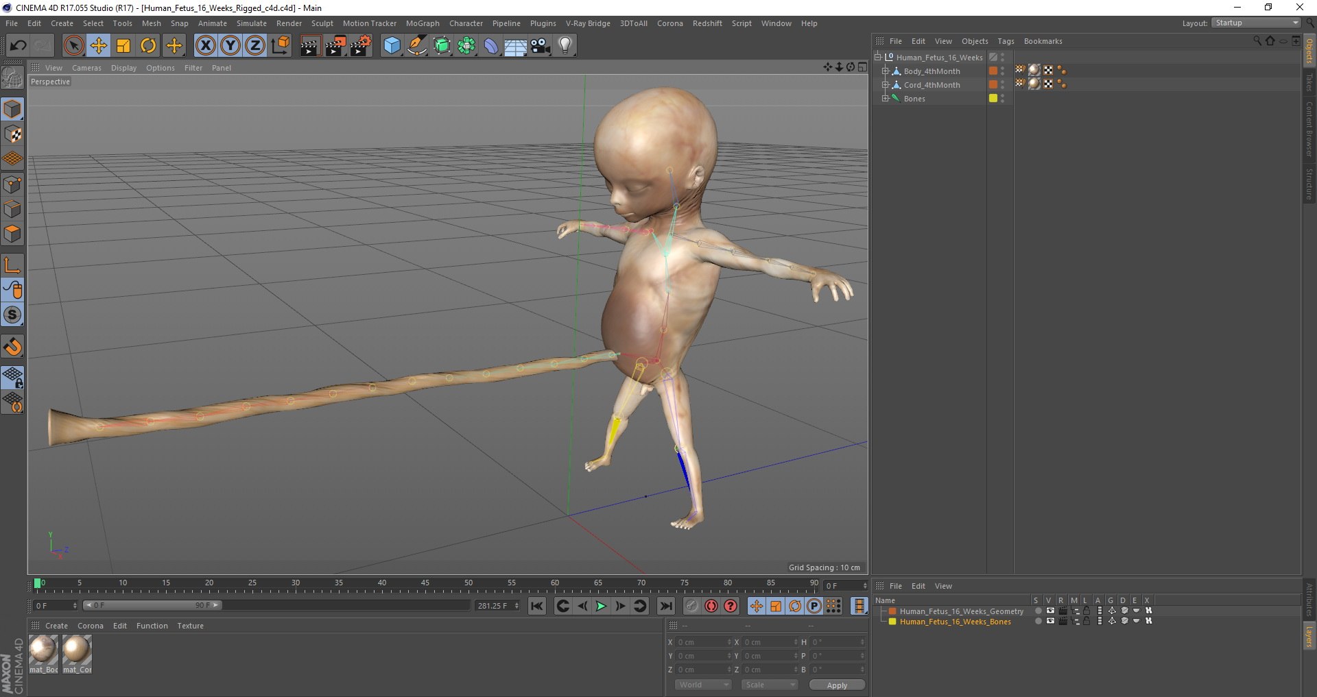 3D Rigged Embryos Full Collection for Cinema 4D model https://p.turbosquid.com/ts-thumb/sQ/cSFYvt/Uv/human_fetus_16_weeks_rigged_c4d_01/jpg/1618908884/1920x1080/fit_q87/f99607a8f39e4044bcabfb04586b88804dfe0f92/human_fetus_16_weeks_rigged_c4d_01.jpg