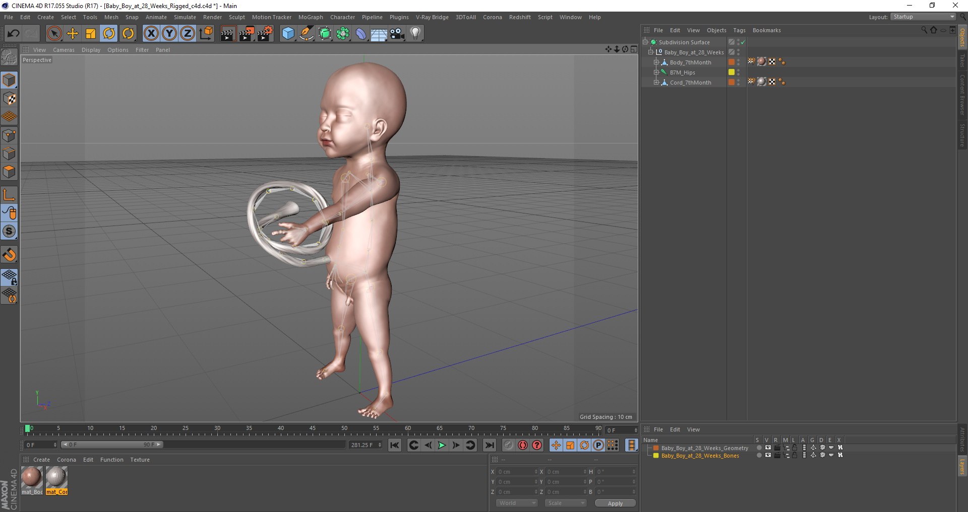 3D Rigged Embryos Full Collection for Cinema 4D model https://p.turbosquid.com/ts-thumb/sQ/cSFYvt/mS/baby_boy_at_28_weeks_rigged_c4d_04/jpg/1618908891/1920x1080/fit_q87/85de5b643f905d2ad4feb3376c94c2e38e6edb1f/baby_boy_at_28_weeks_rigged_c4d_04.jpg