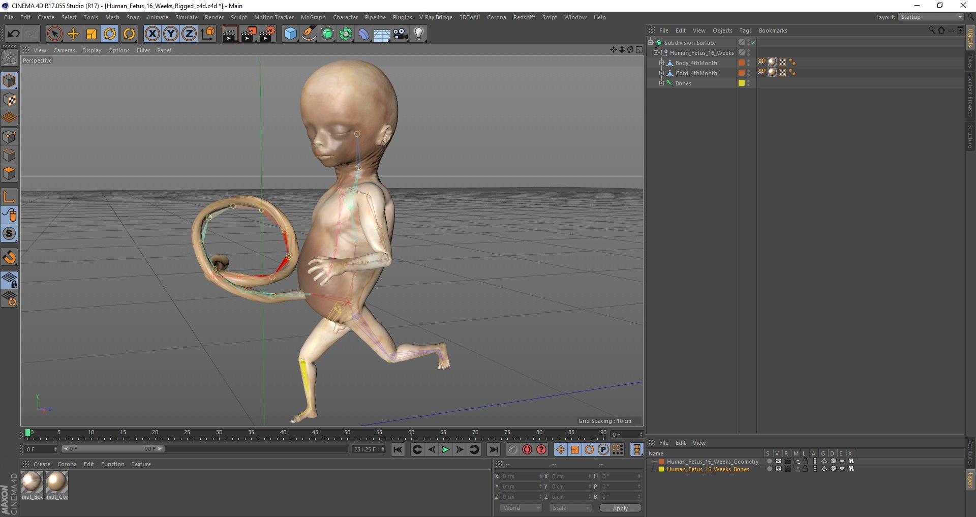 3D Rigged Embryos Full Collection for Cinema 4D model https://p.turbosquid.com/ts-thumb/sQ/cSFYvt/rk/human_fetus_16_weeks_rigged_c4d_04/jpg/1618908884/1920x1080/fit_q87/a01d19ff9e4d64943f330b2752c24873f58c4fdd/human_fetus_16_weeks_rigged_c4d_04.jpg