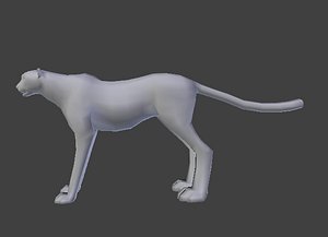 Cheetah Base Model