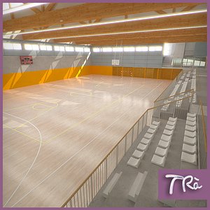 basketball arena 3d max