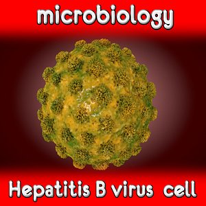 hepatitis b virus 3ds