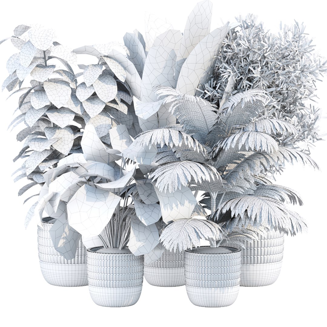 3D Indoor Plants Collection vol 157 model https://p.turbosquid.com/ts-thumb/sQ/koyv0h/TV/6/jpg/1670182121/1920x1080/fit_q87/6b52c59ae3020caa9f505941ab8678c31bd9b6d3/6.jpg