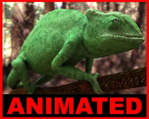 chameleon - 3d model