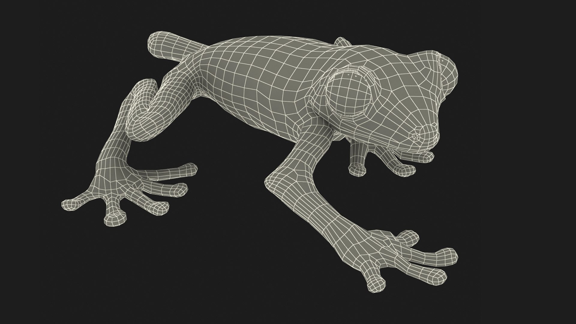 Realistic Tree Frog Rigged 3D Model - TurboSquid 2303806