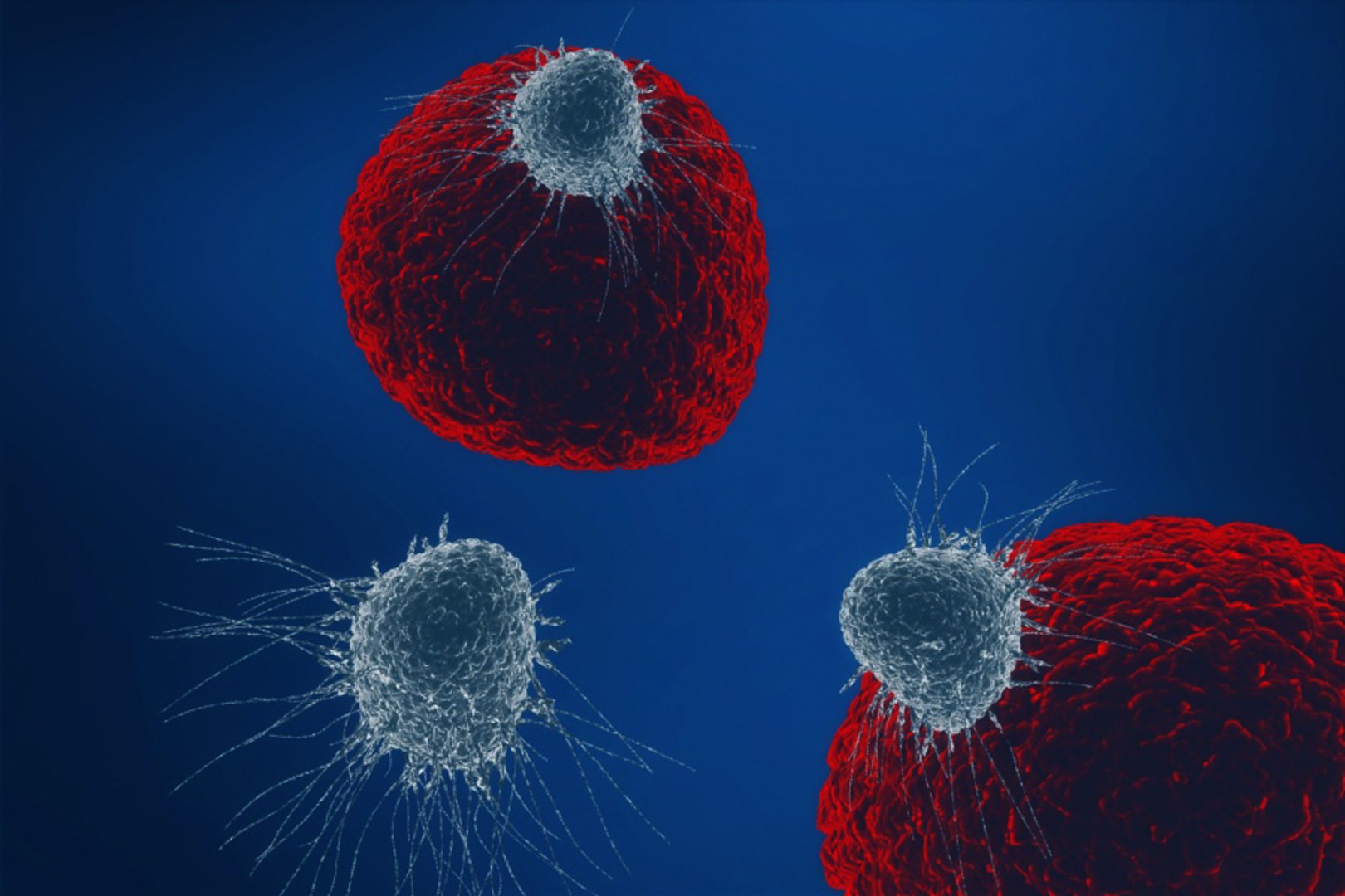 3D Cancer Cell Proliferation Invasion - TurboSquid 1630882
