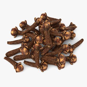 3D model Natural Cloves