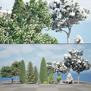 3D model Snow-Coated  Evergreen Conifer 3D Pack
