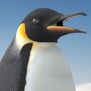 3D model Emperor Penguin Standing Pose