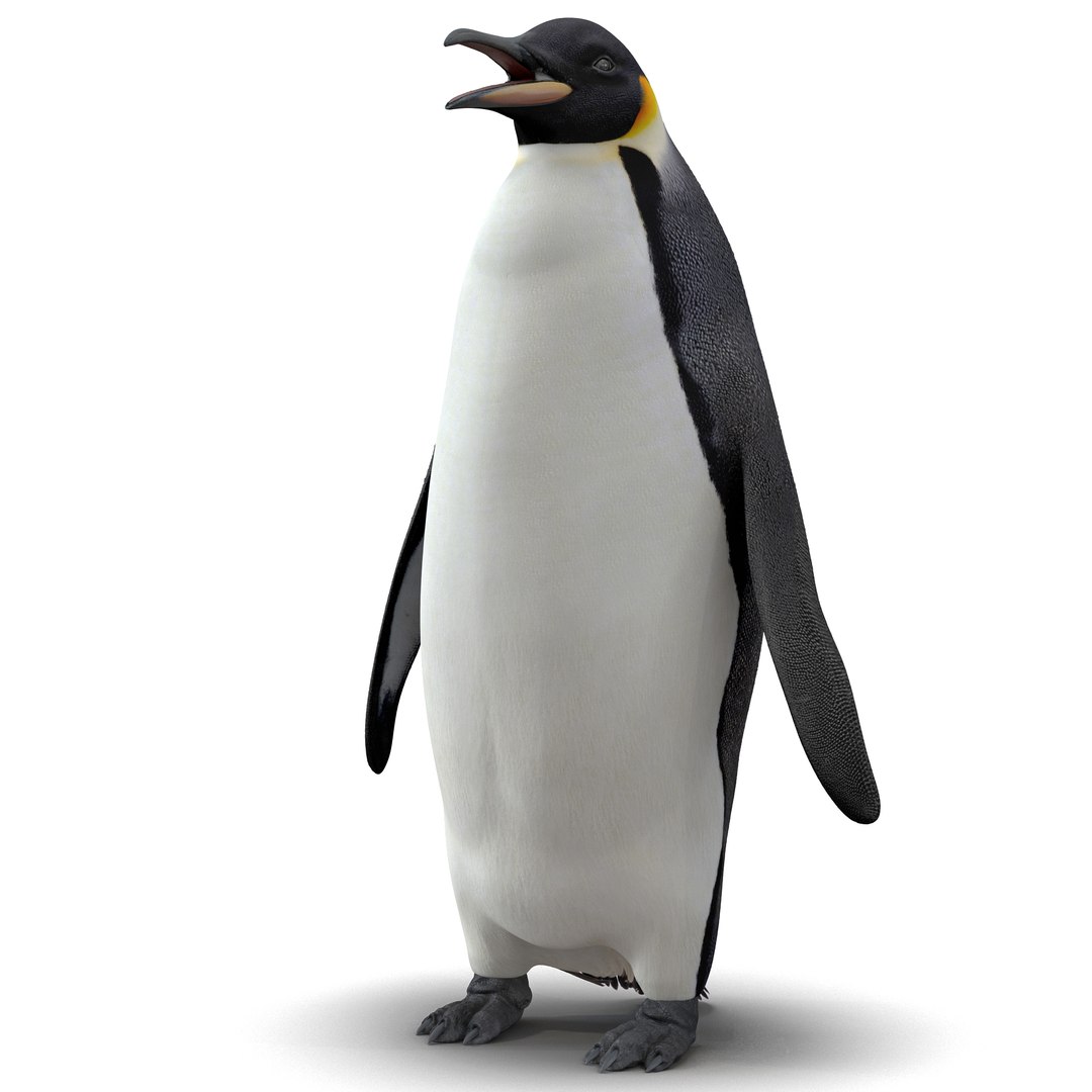 ペリカンペンギンさま専用です。複数ご購入の為のお値段です。 ペンギン 40 | HANSA